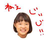 337756051