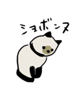 337762253