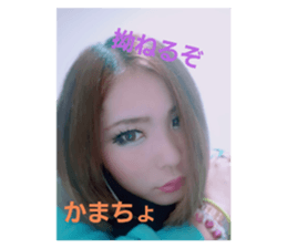 337765538