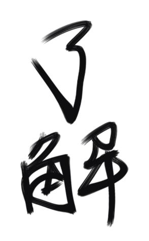 337765597