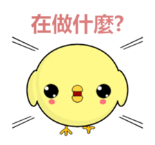 337786680