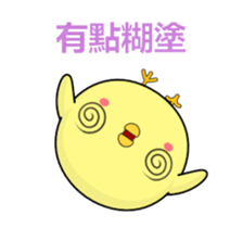 337786681