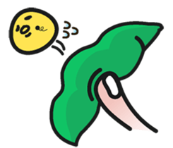 3377991