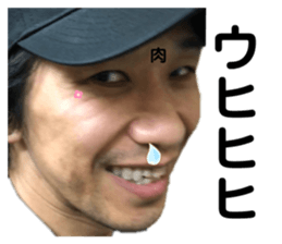 337823173