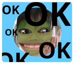 337825049