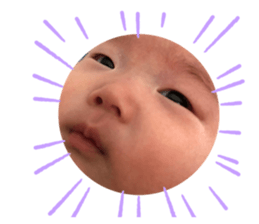 337830076