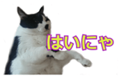 337879937