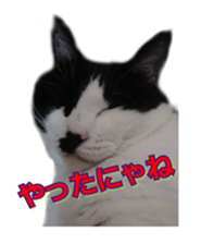 337879940