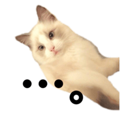337897368