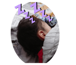 337968881
