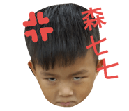 33798176
