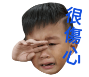 33798178