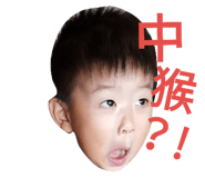 33798184