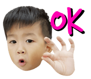 33798206