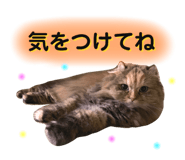 337986241