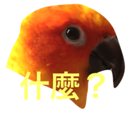 33798763