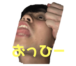 338026689