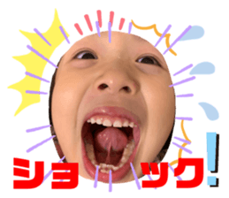 338027629