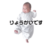 338033766