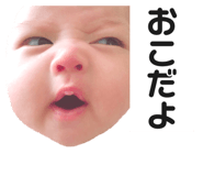 338033771