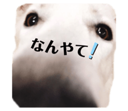 338041388
