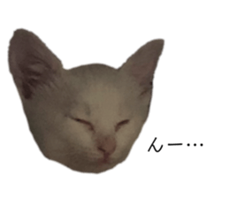 338136669