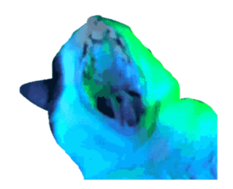 338169980