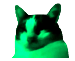 338169986