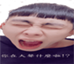338186455