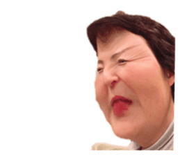 338254999