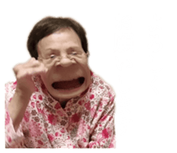 338255010