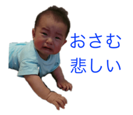 338257951