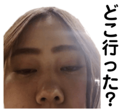 338260958