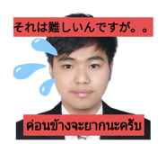 338311392