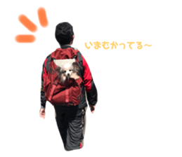 338313130