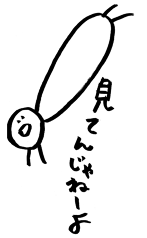 338313645