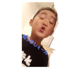 338318603