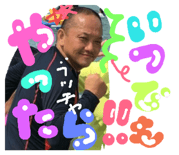 33832054