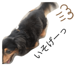 338330595