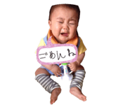 33833523