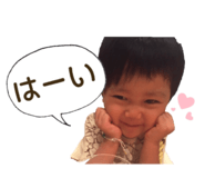 33833531
