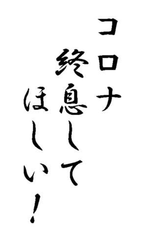 338360590