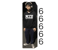 33837302