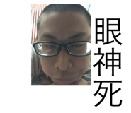 33837311