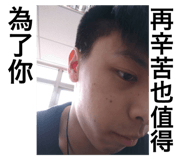 33837320