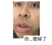 33837329