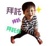 33844645