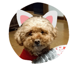 338514213