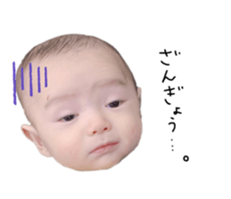 338518134