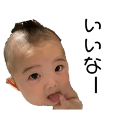 338532962